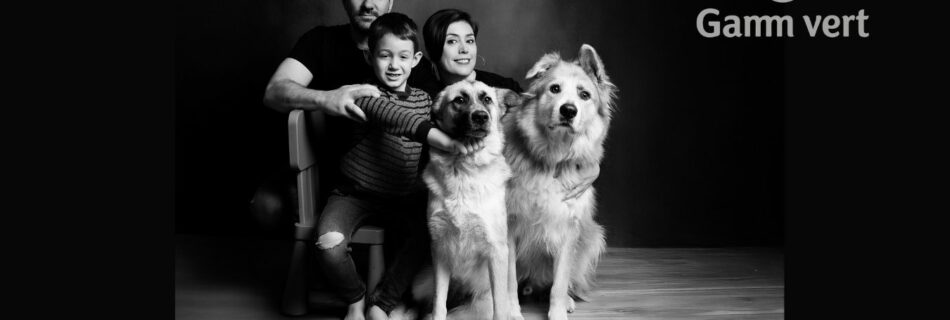 Affiche pour une séance photo avec son animal de compagnie studio Art6Sens à La Teste en partenariat avec Gamm vert